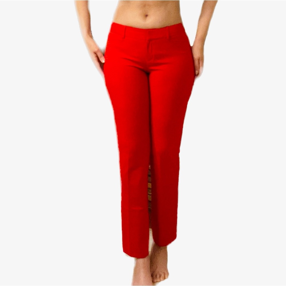 Express Columnist Dress Pants